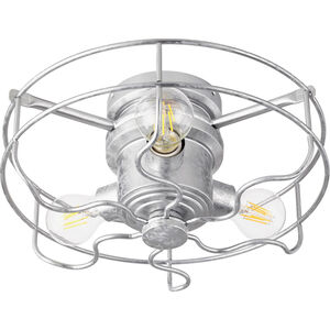Windmill Fan Light Kit